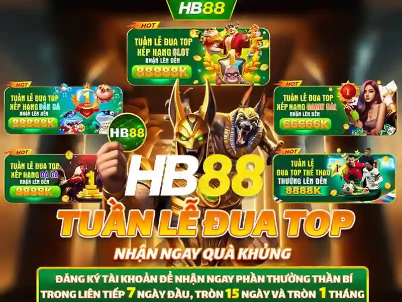 Trải nghiệm người dùng và Phản hồi từ cộng đồng