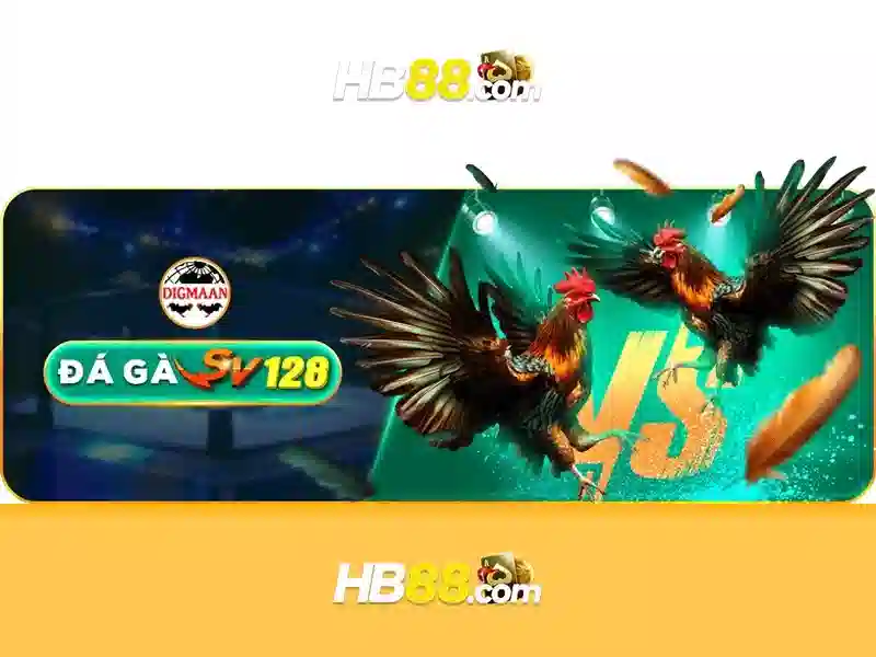 HB88: Nền tảng cá cược trực tuyến đa dạng và an toàn Giao diện nhà cái hoàn hảo