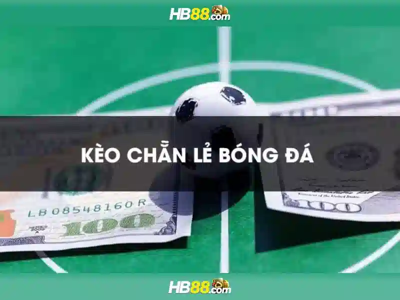Du học ở đâu dễ định cư và tìm kiếm cơ hội làm việc?