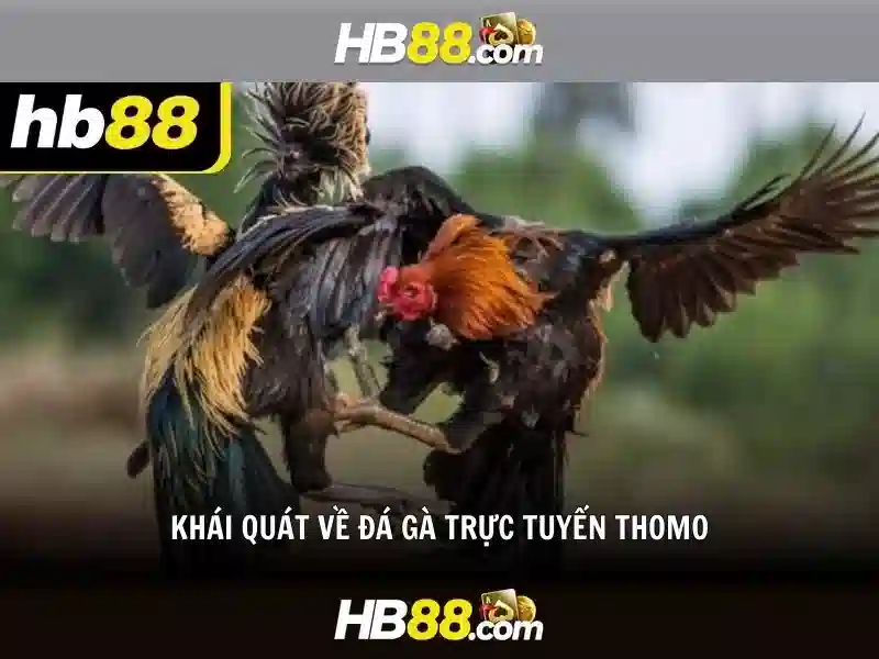 Ưu điểm của hb88