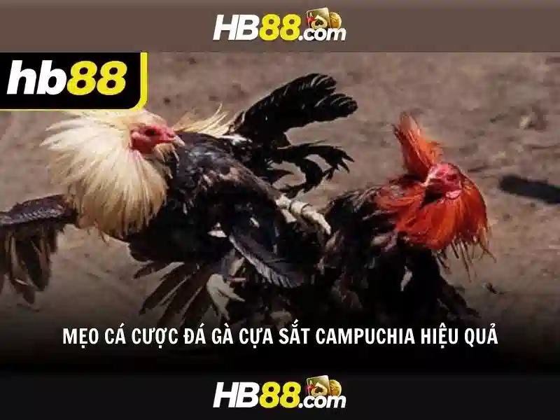 hb88|Android App