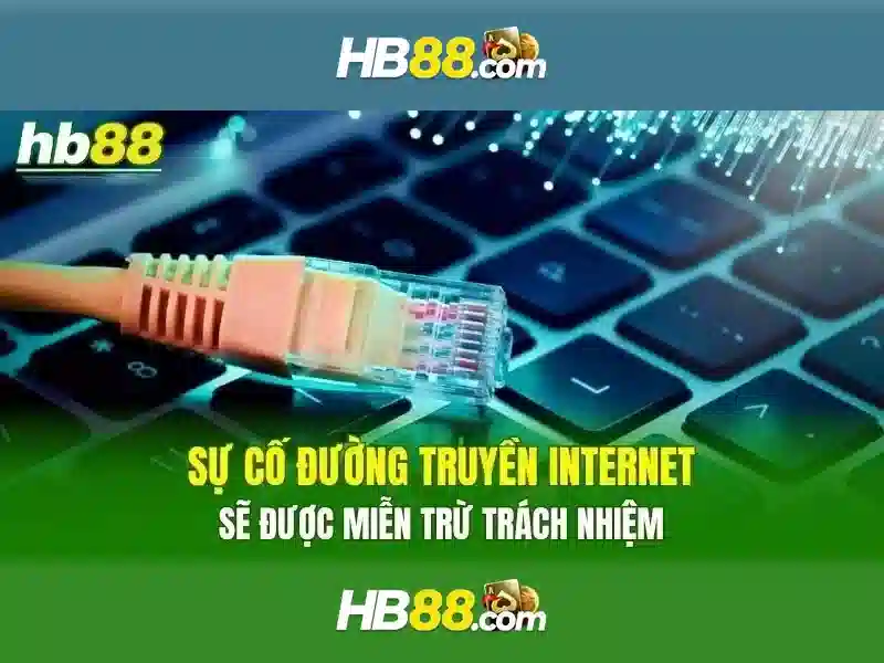 Trải nghiệm người dùng và phản hồi cộng đồng