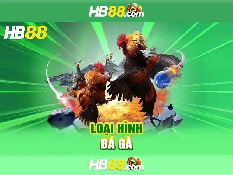hb88 100k – Trải nghiệm người dùng và phản hồi cộng đồng