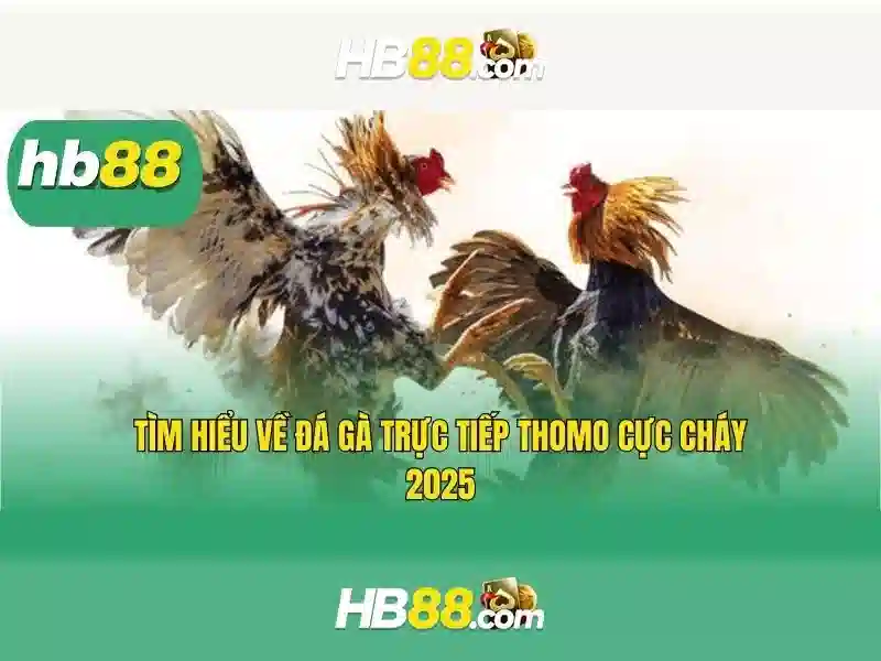 HB88 là gì và cách tận dụng nền tảng cá cược trực tuyến Giao diện nhà cái hoàn hảo