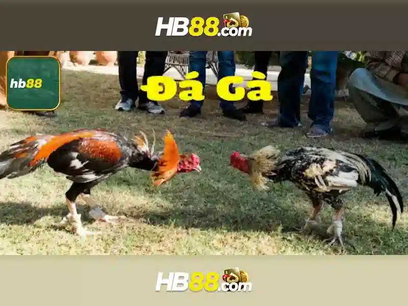 code hb88 – Tổng quan và giá trị cốt lõi