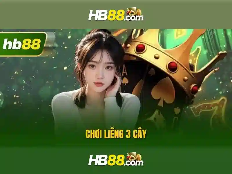 <!--IMG_PLACEHOLDER alt>Trải nghiệm người dùng và phản hồi cộng đồng-->