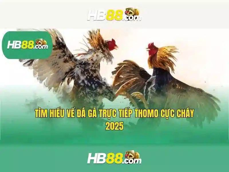 HB88 là gì?