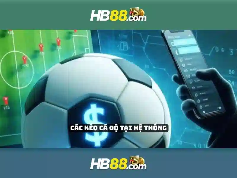 Trải nghiệm người dùng