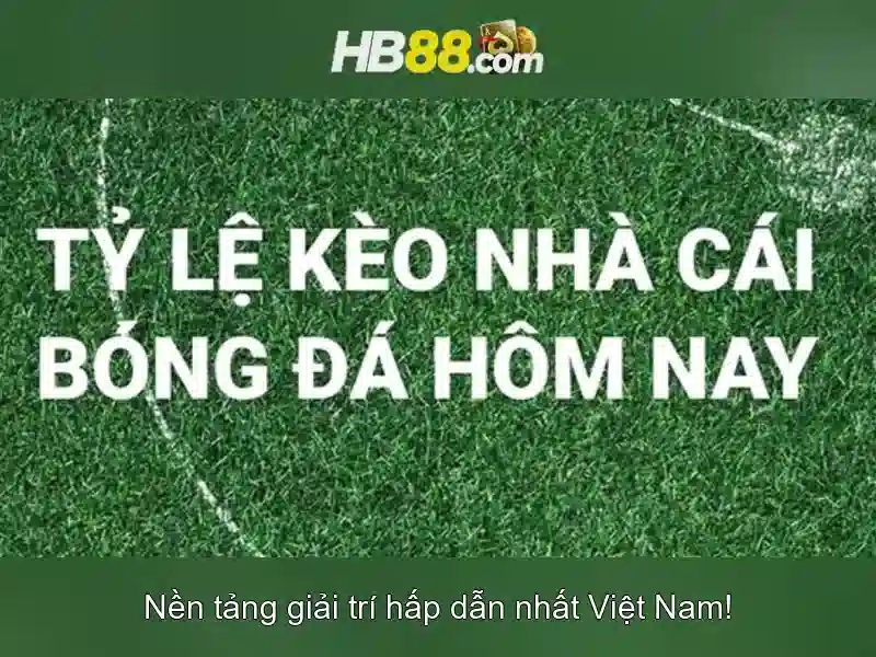 Hướng dẫn bắt đầu và an toàn khi chơi