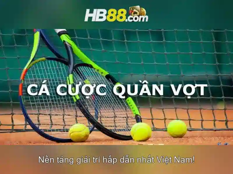 Các nền tảng và dịch vụ
