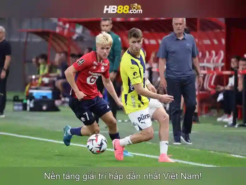 HB88: Nền tảng cược trực tuyến và trò chơi đa dạng Giao diện nhà cái hoàn hảo