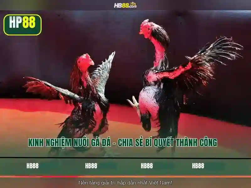 Hướng dẫn tham gia và nạp tiền