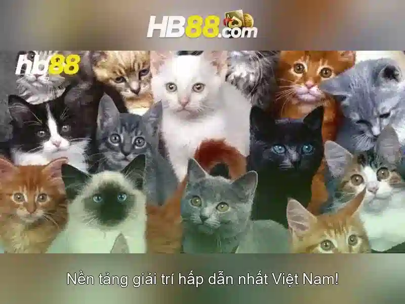Lời kết và khuyến nghị