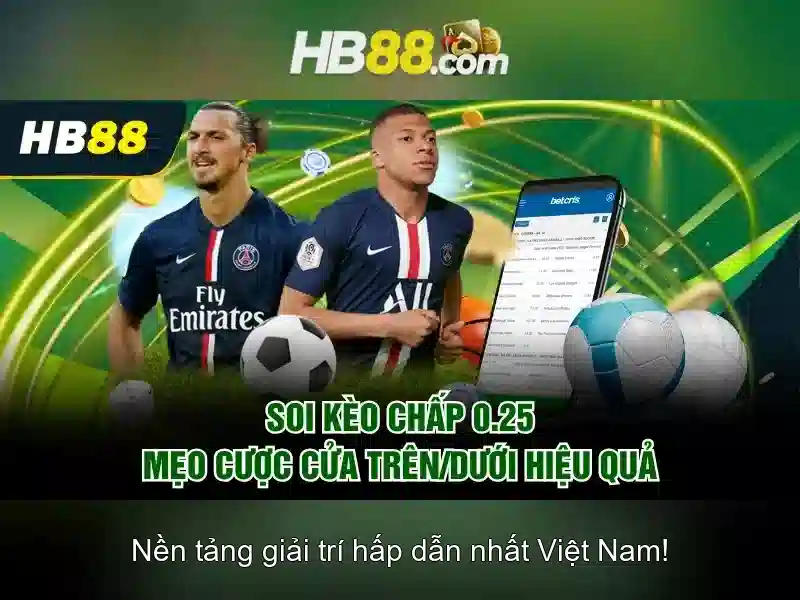 Định hướng phát triển và Tầm nhìn tương lai