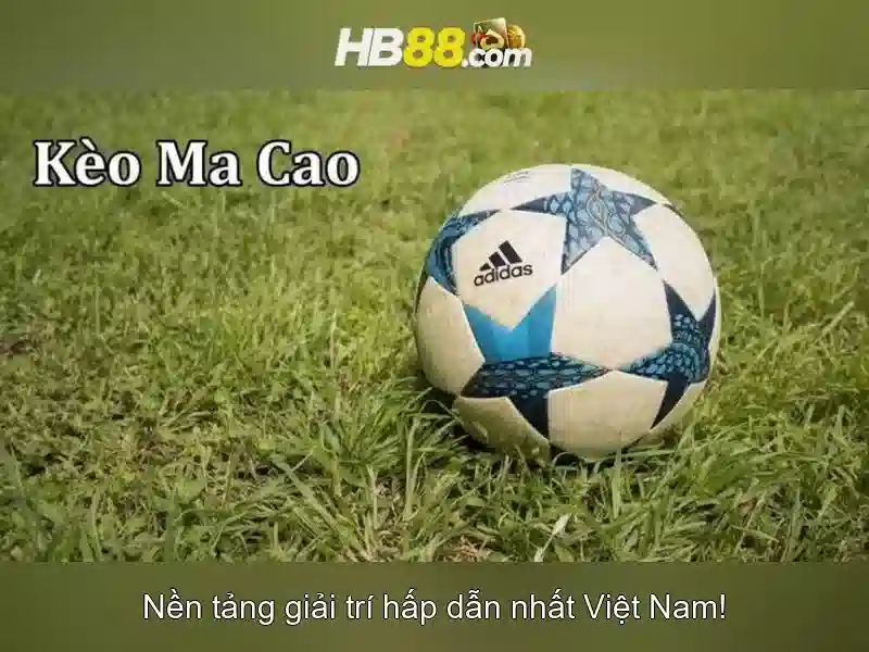 Lý do người chơi chọn hb88