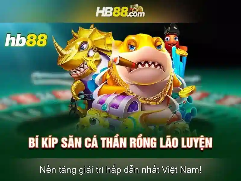 Đối tượng người dùng và phạm vi hoạt động