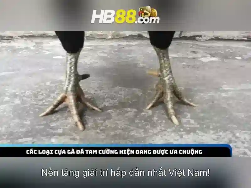 Tải game hb88 – Chủ đề và giá trị cốt lõi