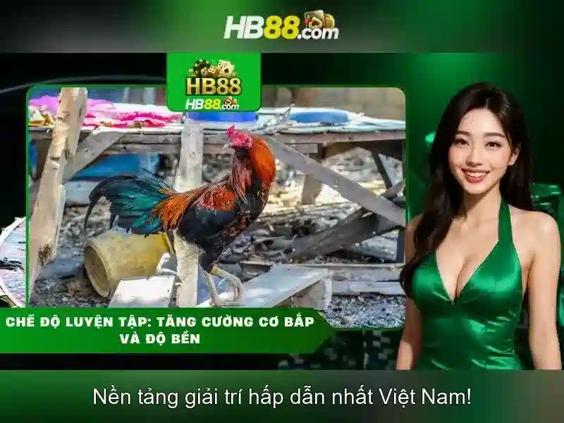 An toàn và bảo mật khi tham gia HB88