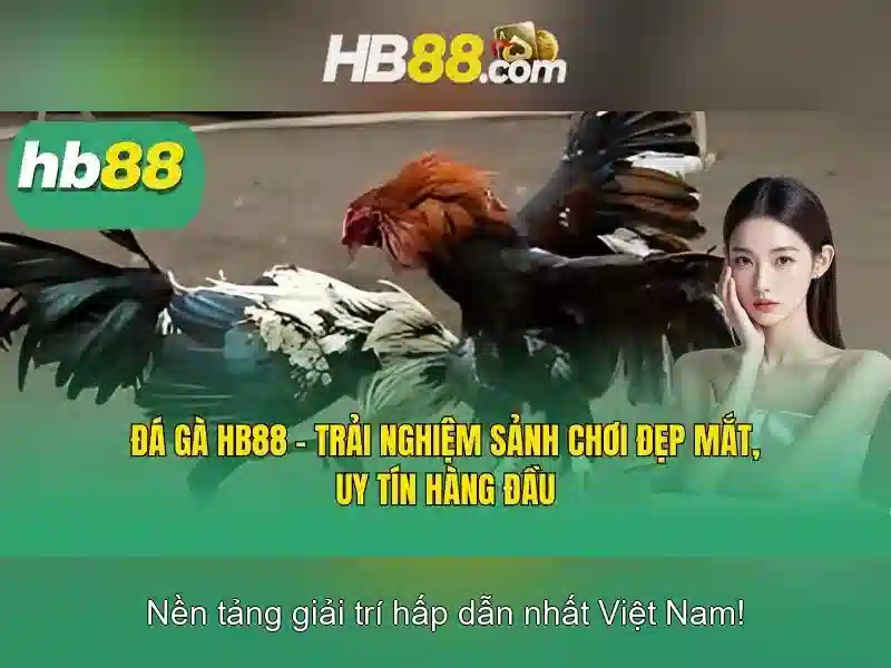 Giao diện nhà cái hoàn hảo