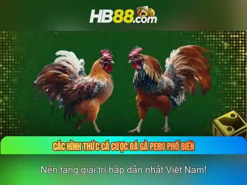 Các tính năng nổi bật